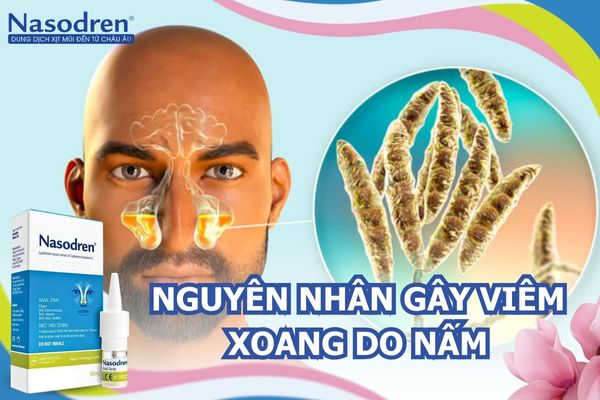 nguyên nhân gây viêm xoang do nấm 2
