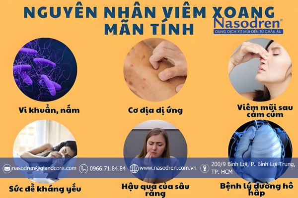 nguyên nhân viêm xoang mãn tính